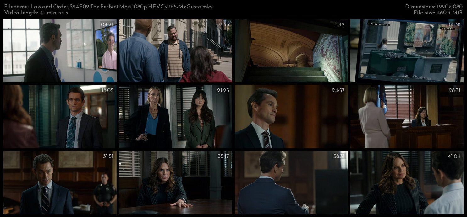 Law and Order S24E02 The Perfect Man 1080p HEVC x265 MeGusta TGx