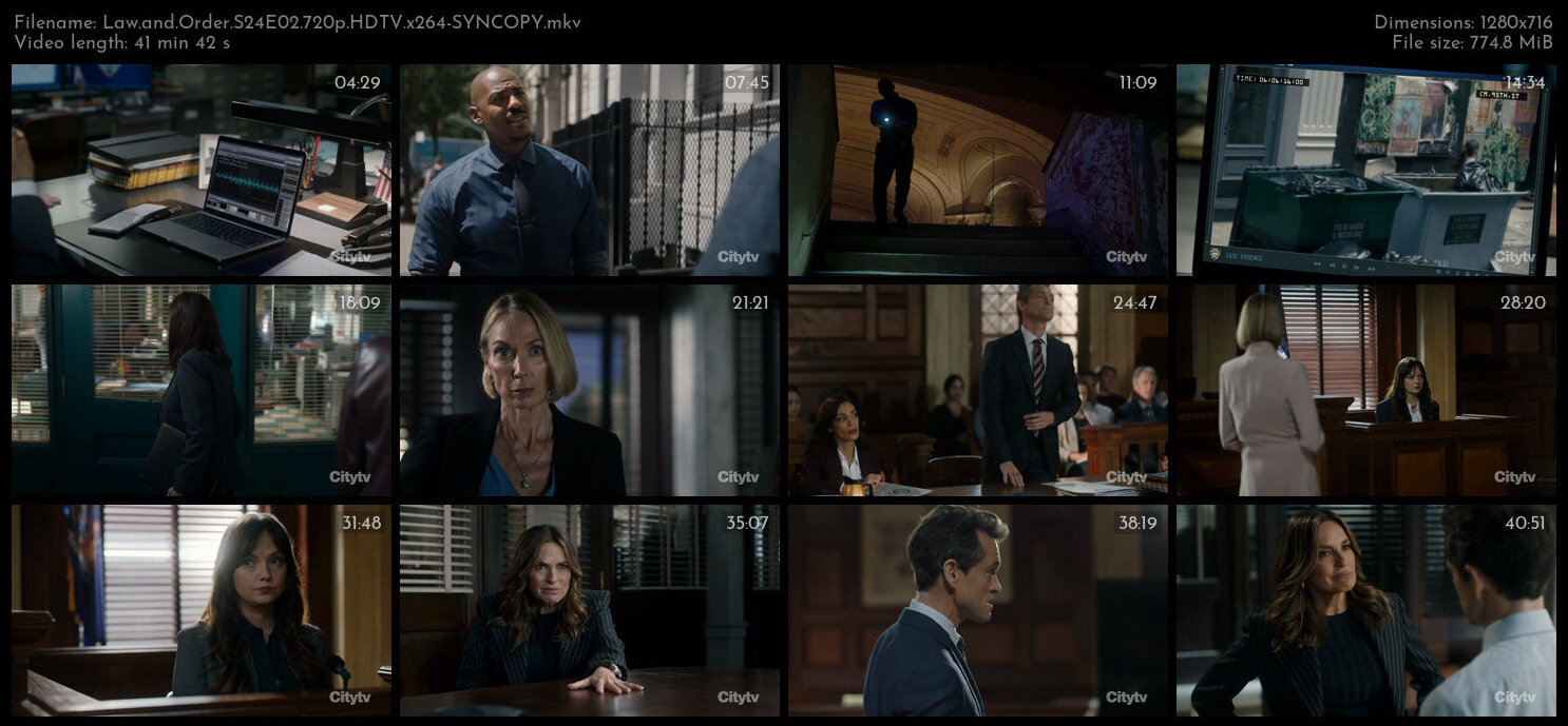 Law and Order S24E02 720p HDTV x264 SYNCOPY TGx