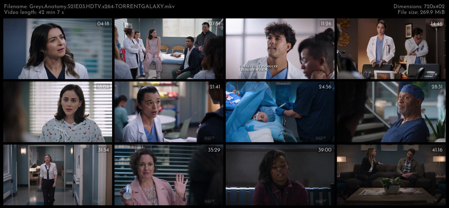 Greys Anatomy S21E03 HDTV x264 TORRENTGALAXY