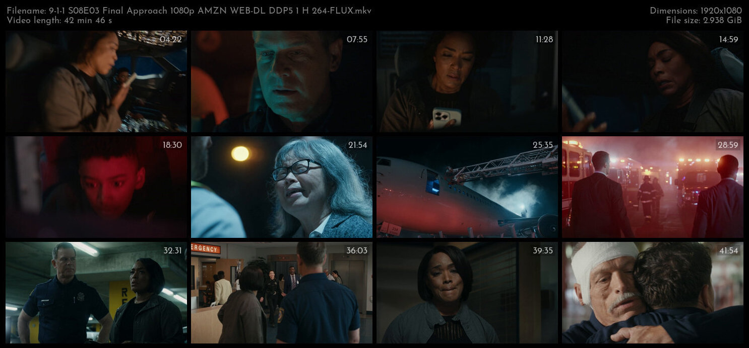 9 1 1 S08E03 Final Approach 1080p AMZN WEB DL DDP5 1 H 264 FLUX TGx