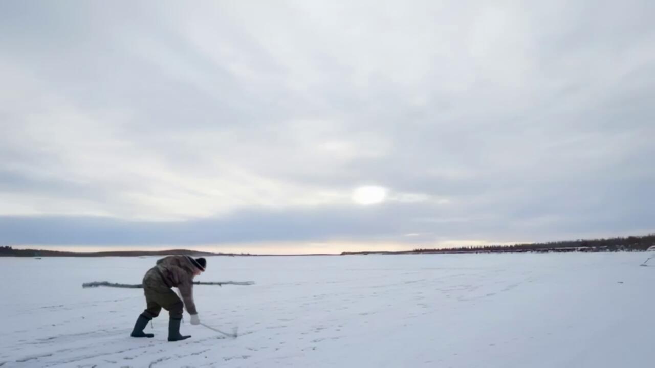 Life Below Zero S23E02 Night Moves 720p WEB H264 NGP TGx