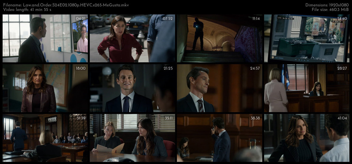 Law and Order S24E02 1080p HEVC x265 MeGusta TGx