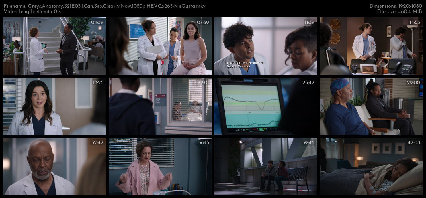 Greys Anatomy S21E03 I Can See Clearly Now 1080p HEVC x265 MeGusta TGx