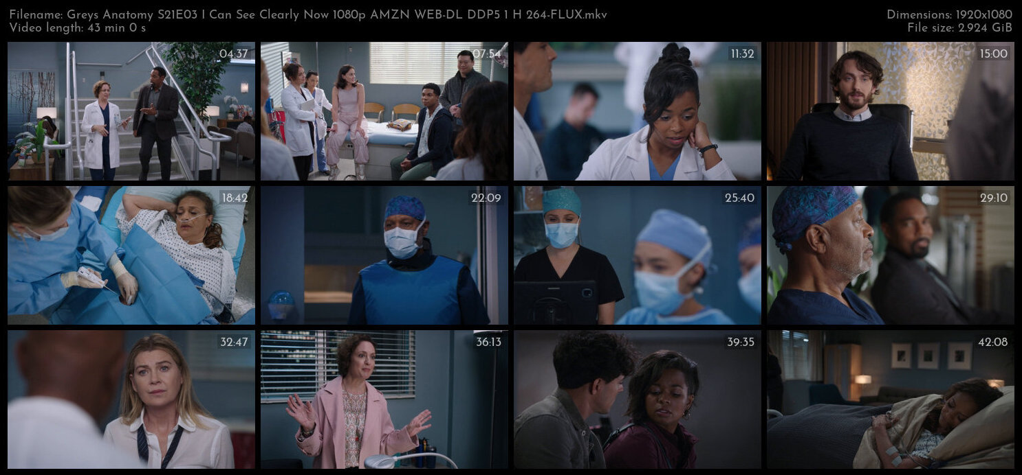 Greys Anatomy S21E03 I Can See Clearly Now 1080p AMZN WEB DL DDP5 1 H 264 FLUX TGx