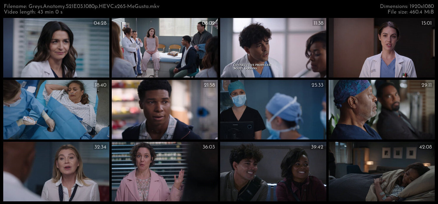 Greys Anatomy S21E03 1080p HEVC x265 MeGusta TGx