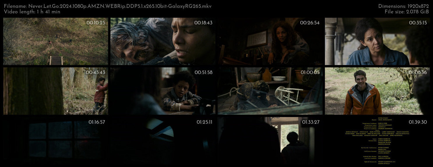 Never Let Go 2024 1080p AMZN WEBRip DDP5 1 x265 10bit GalaxyRG265