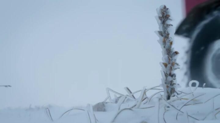 Life Below Zero S23E02 WEB x264 TORRENTGALAXY