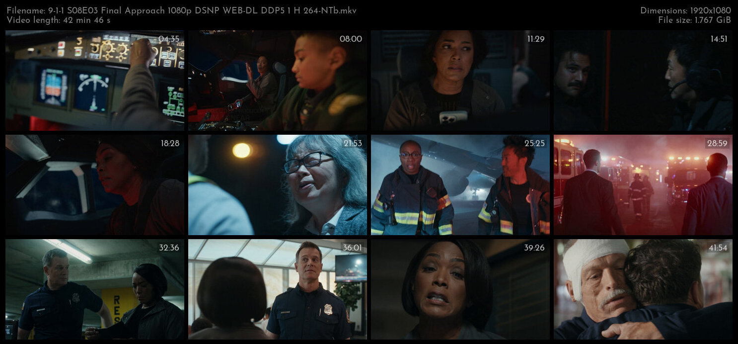 9 1 1 S08E03 Final Approach 1080p DSNP WEB DL DDP5 1 H 264 NTb TGx