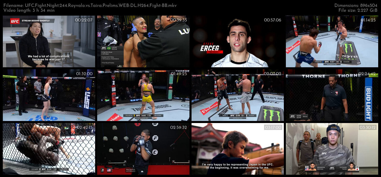 UFC Fight Night 244 Royvalo vs Taira Prelims WEB DL H264 Fight BB