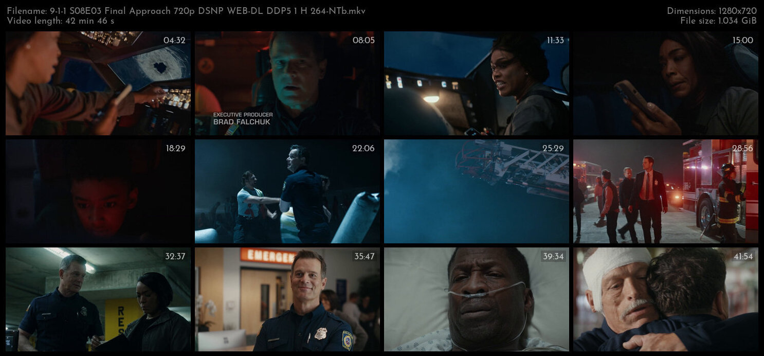 9 1 1 S08E03 Final Approach 720p DSNP WEB DL DDP5 1 H 264 NTb TGx