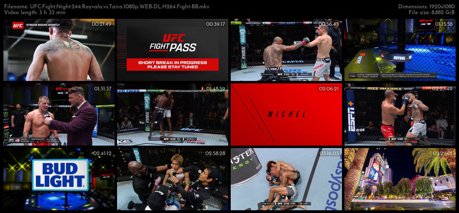 UFC Fight Night 244 Royvalo vs Taira 1080p WEB DL H264 Fight BB