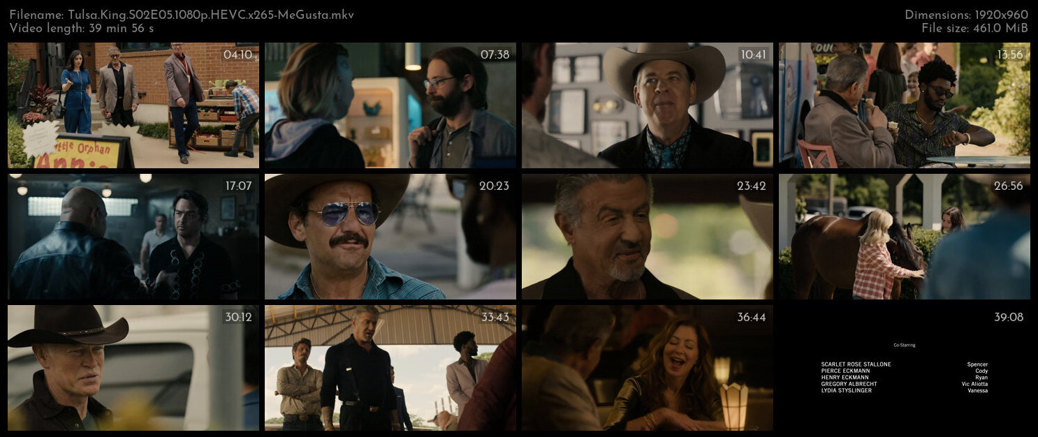 Tulsa King S02E05 1080p HEVC x265 MeGusta TGx