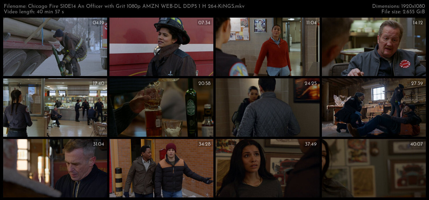 Chicago Fire S10E14 An Officer with Grit 1080p AMZN WEB DL DDP5 1 H 264 KiNGS TGx