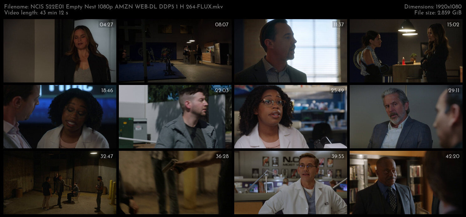 NCIS S22E01 Empty Nest 1080p AMZN WEB DL DDP5 1 H 264 FLUX TGx