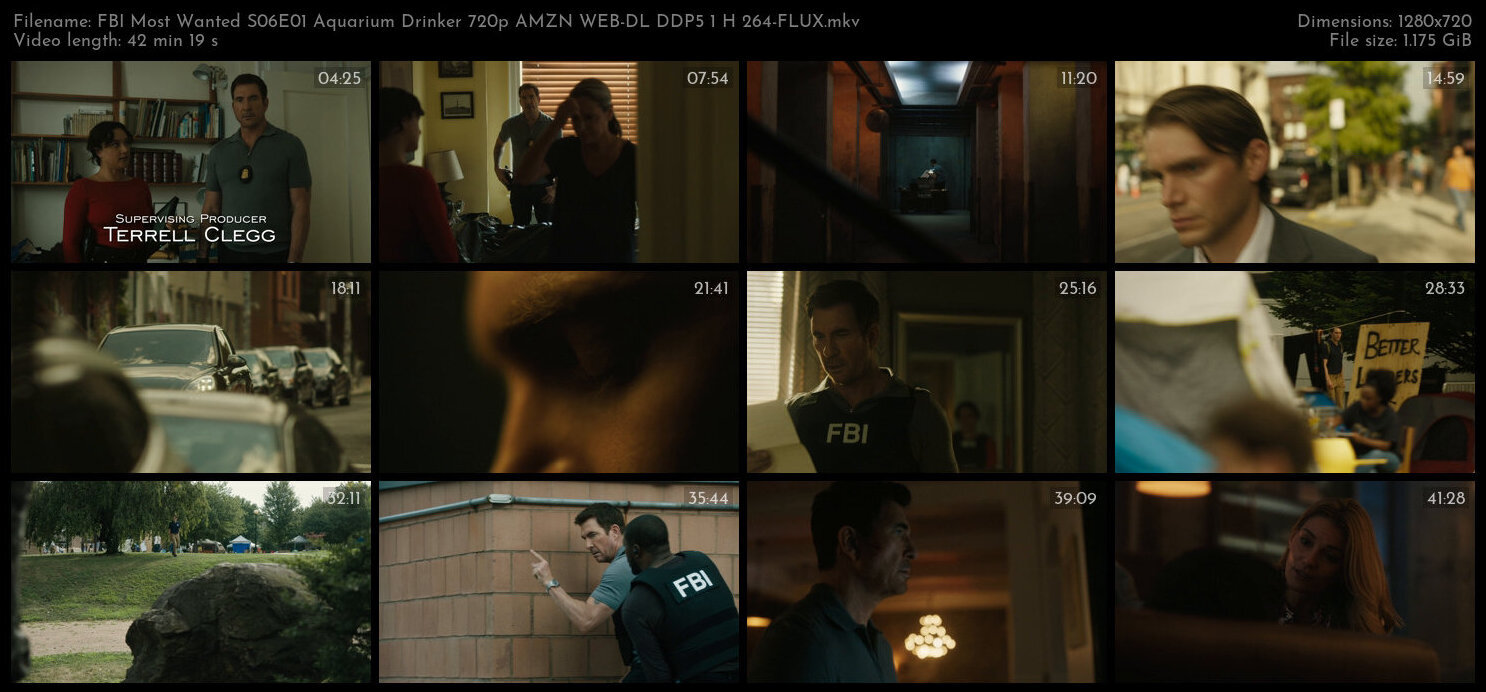 FBI Most Wanted S06E01 Aquarium Drinker 720p AMZN WEB DL DDP5 1 H 264 FLUX TGx