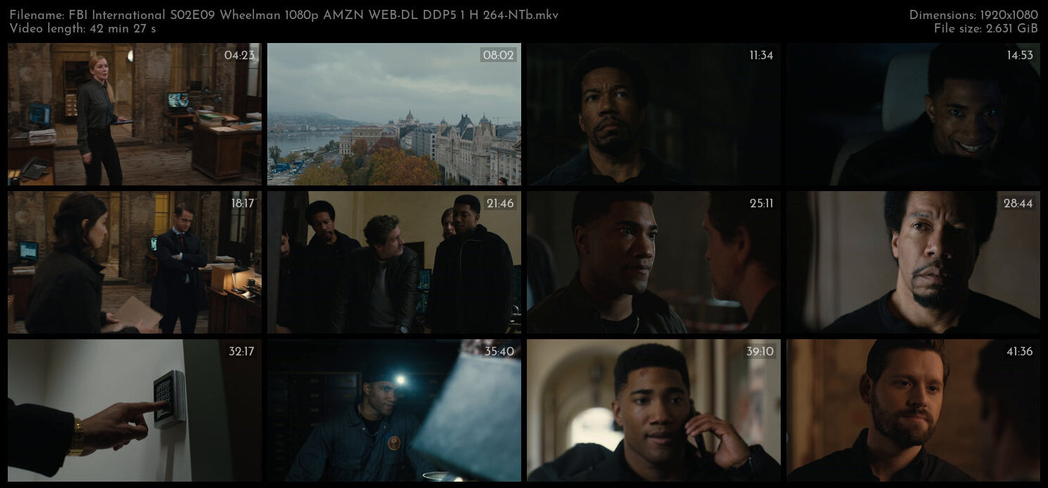 FBI International S02E09 Wheelman 1080p AMZN WEB DL DDP5 1 H 264 NTb TGx