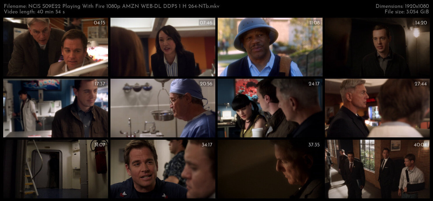 NCIS S09E22 Playing With Fire 1080p AMZN WEB DL DDP5 1 H 264 NTb TGx