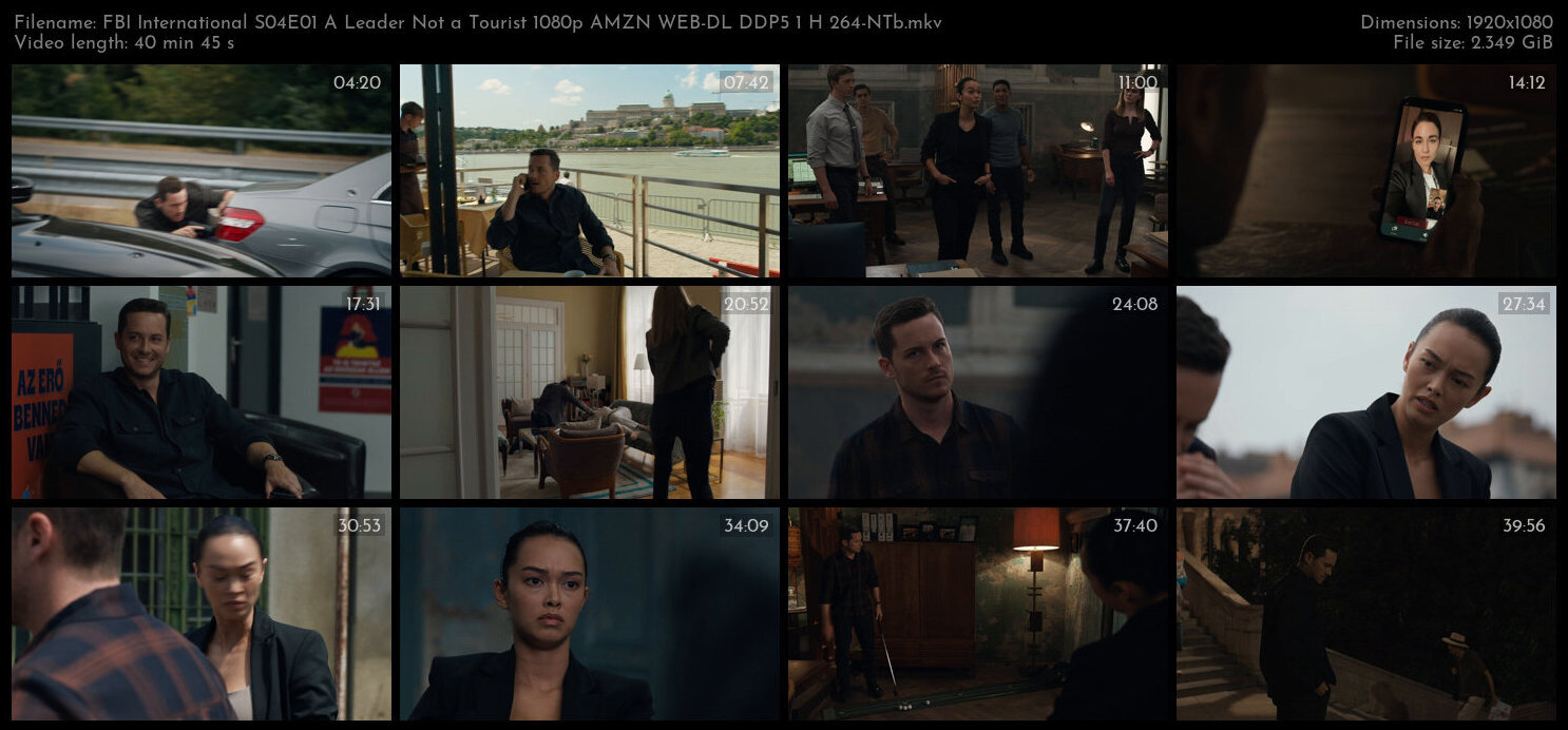 FBI International S04E01 A Leader Not a Tourist 1080p AMZN WEB DL DDP5 1 H 264 NTb TGx