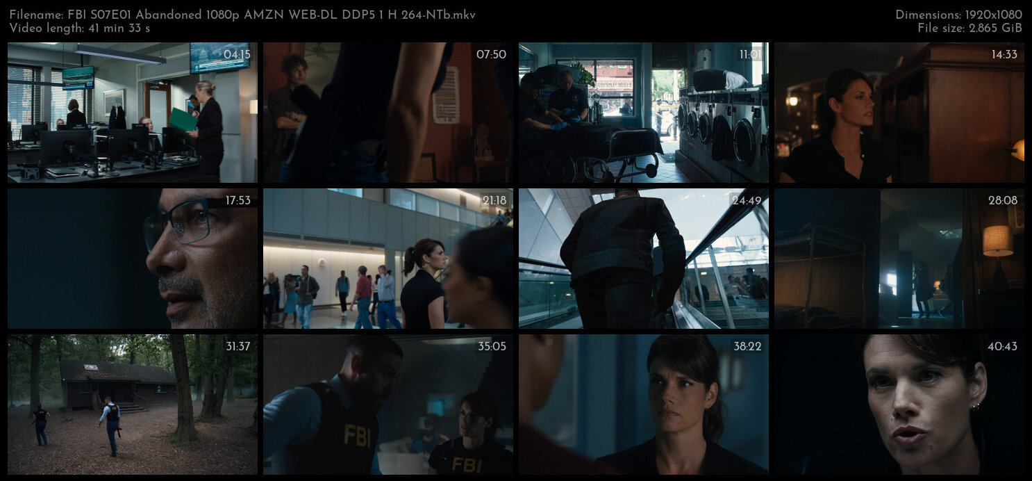 FBI S07E01 Abandoned 1080p AMZN WEB DL DDP5 1 H 264 NTb TGx