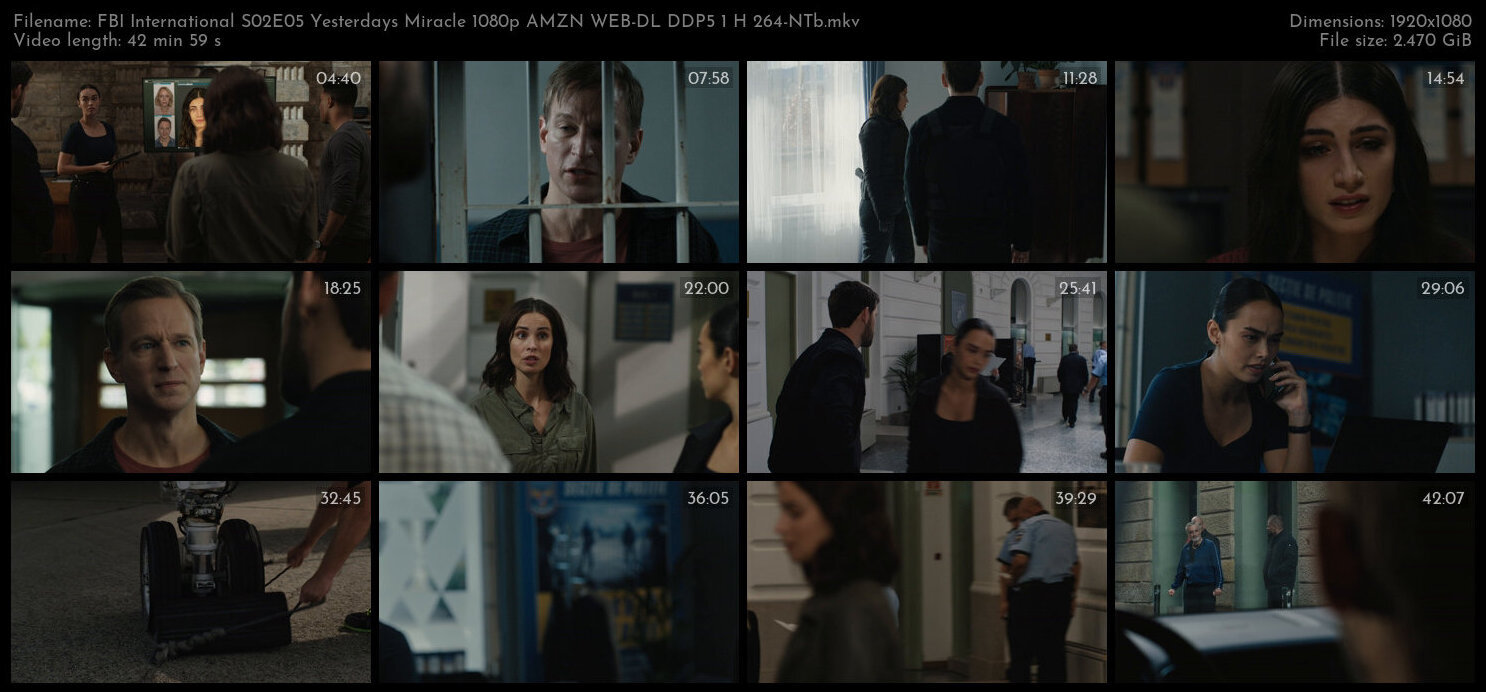 FBI International S02E05 Yesterdays Miracle 1080p AMZN WEB DL DDP5 1 H 264 NTb TGx