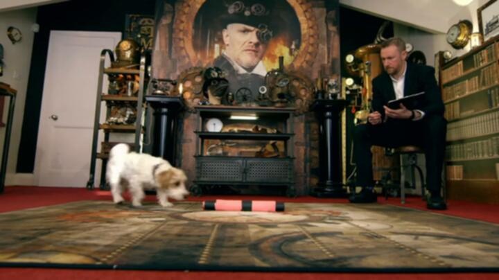 Taskmaster S12E06 WEB x264 TORRENTGALAXY