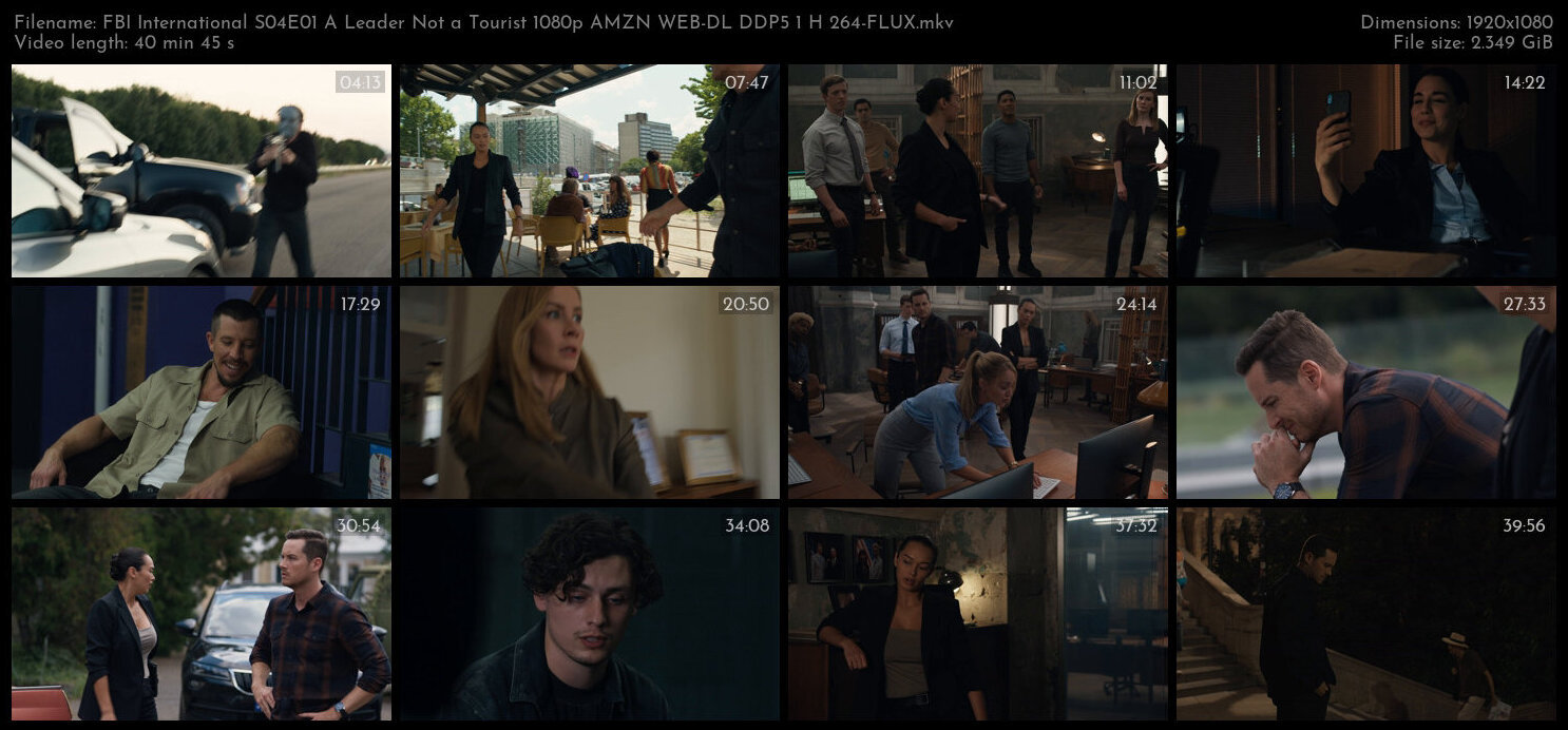 FBI International S04E01 A Leader Not a Tourist 1080p AMZN WEB DL DDP5 1 H 264 FLUX TGx