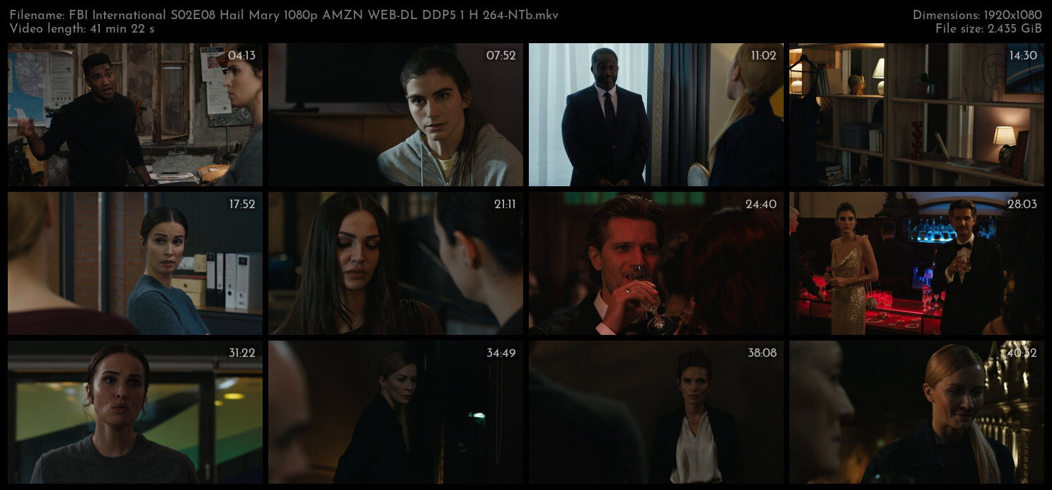 FBI International S02E08 Hail Mary 1080p AMZN WEB DL DDP5 1 H 264 NTb TGx