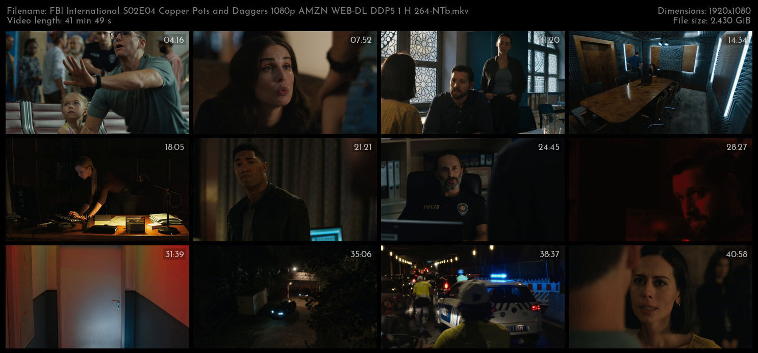 FBI International S02E04 Copper Pots and Daggers 1080p AMZN WEB DL DDP5 1 H 264 NTb TGx