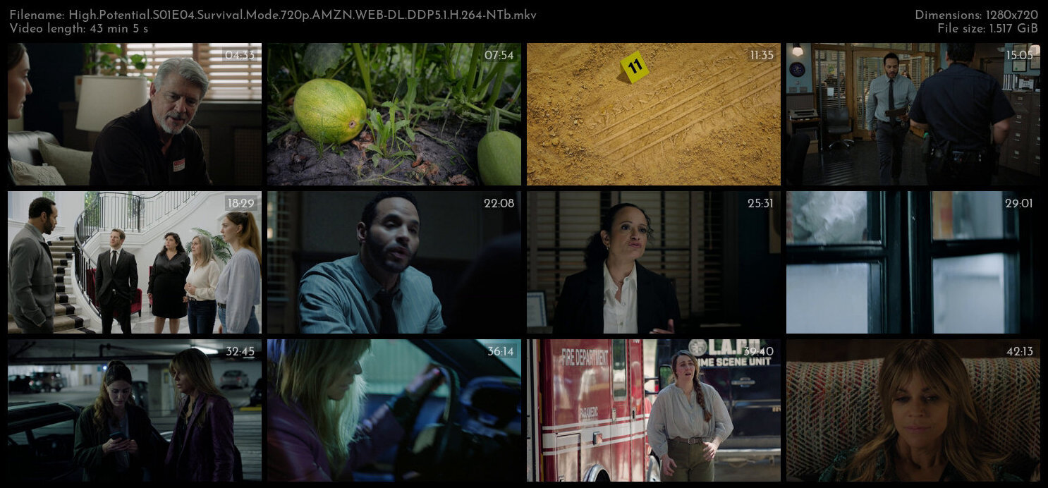 High Potential S01E04 Survival Mode 720p AMZN WEB DL DDP5 1 H 264 NTb TGx