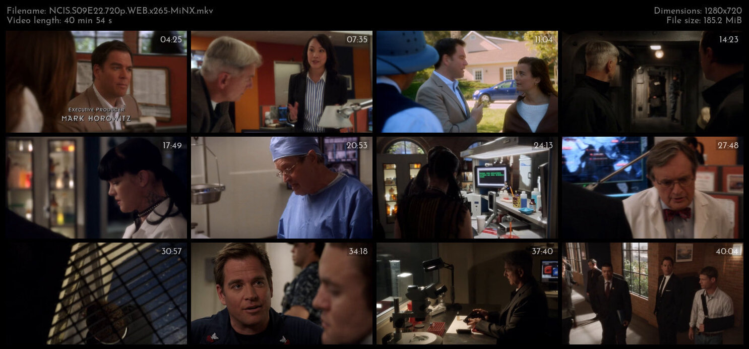 NCIS S09E22 720p WEB x265 MiNX TGx