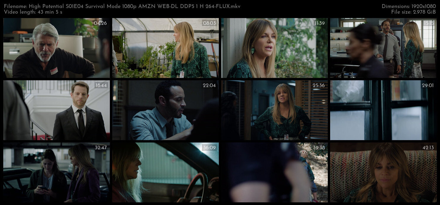 High Potential S01E04 Survival Mode 1080p AMZN WEB DL DDP5 1 H 264 FLUX TGx