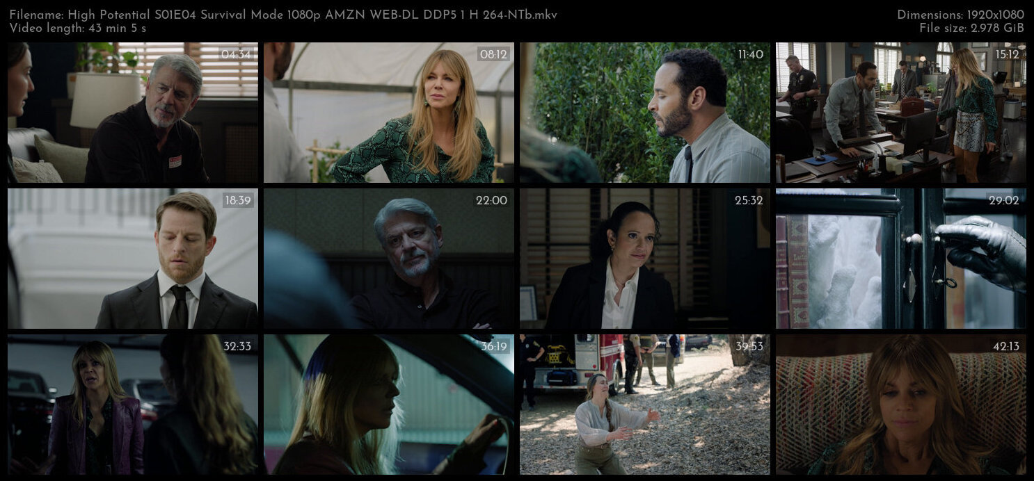 High Potential S01E04 Survival Mode 1080p AMZN WEB DL DDP5 1 H 264 NTb TGx