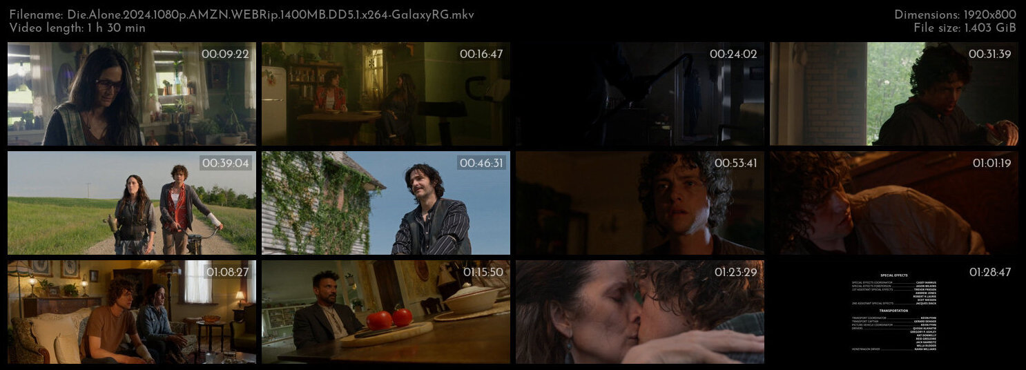 Die Alone 2024 1080p AMZN WEBRip 1400MB DD5 1 x264 GalaxyRG