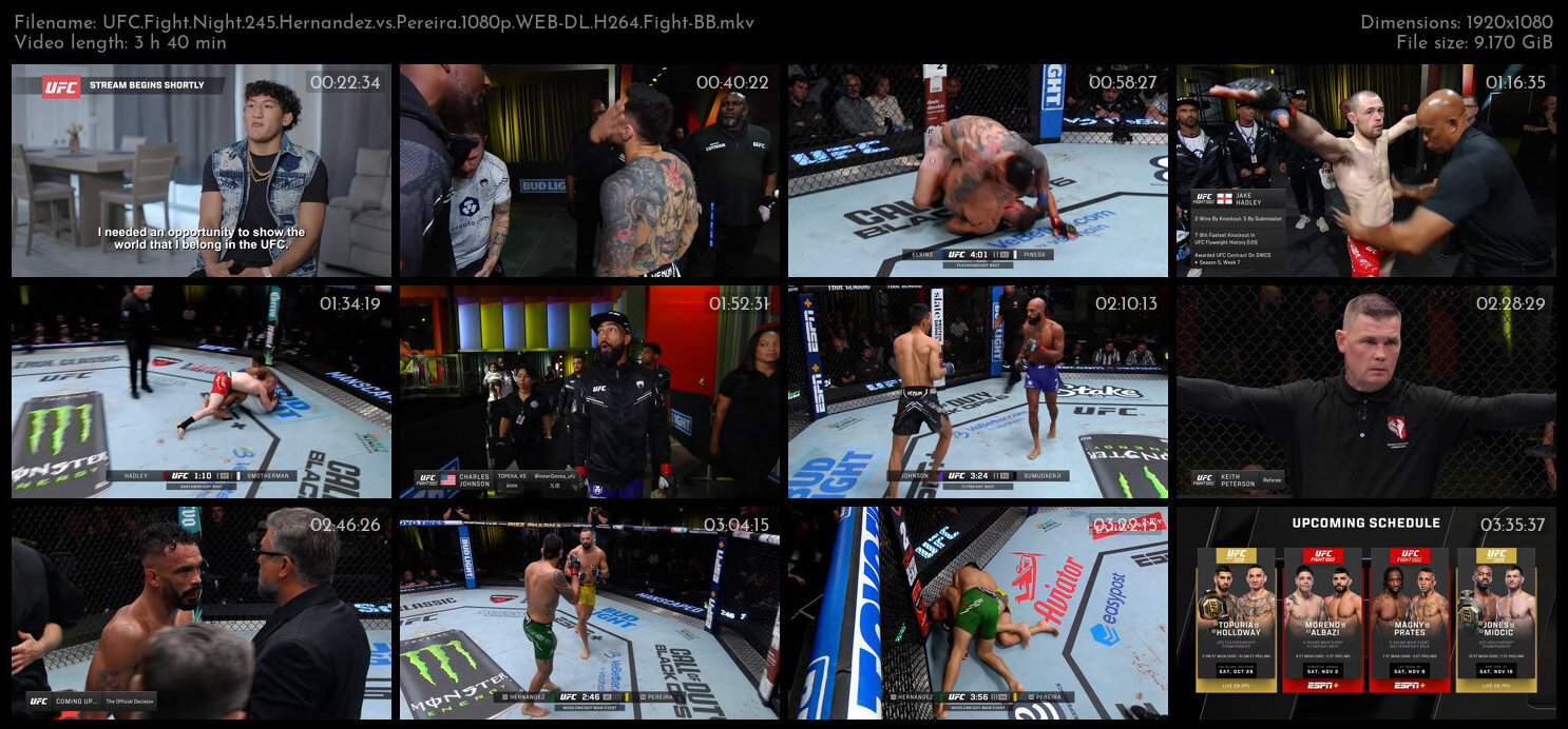 UFC Fight Night 245 Hernandez vs Pereira 1080p WEB DL H264 Fight BB