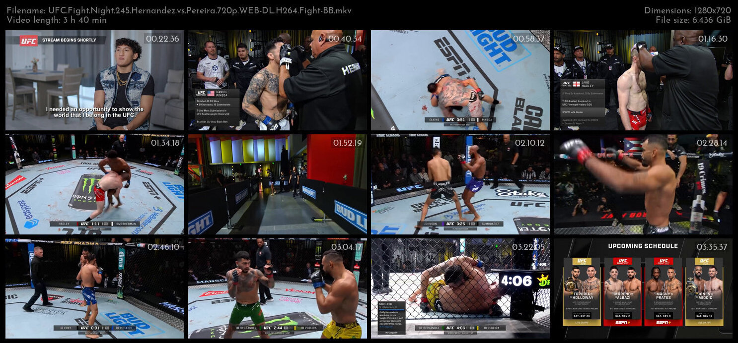 UFC Fight Night 245 Hernandez vs Pereira 720p WEB DL H264 Fight BB