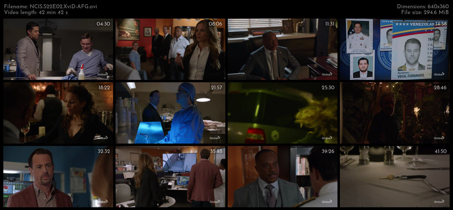 NCIS S22E02 XviD AFG TGx