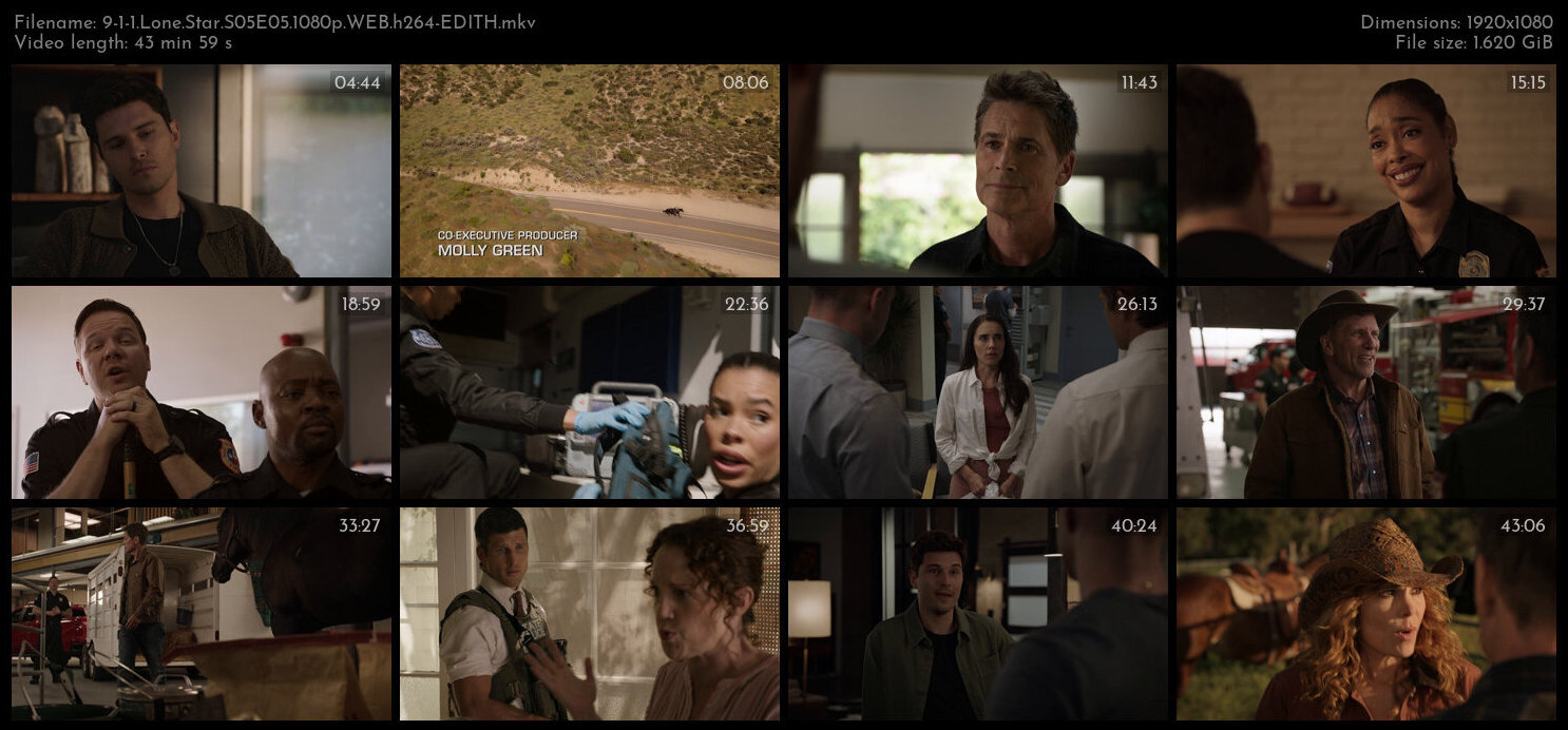 9 1 1 Lone Star S05E05 1080p WEB h264 EDITH TGx