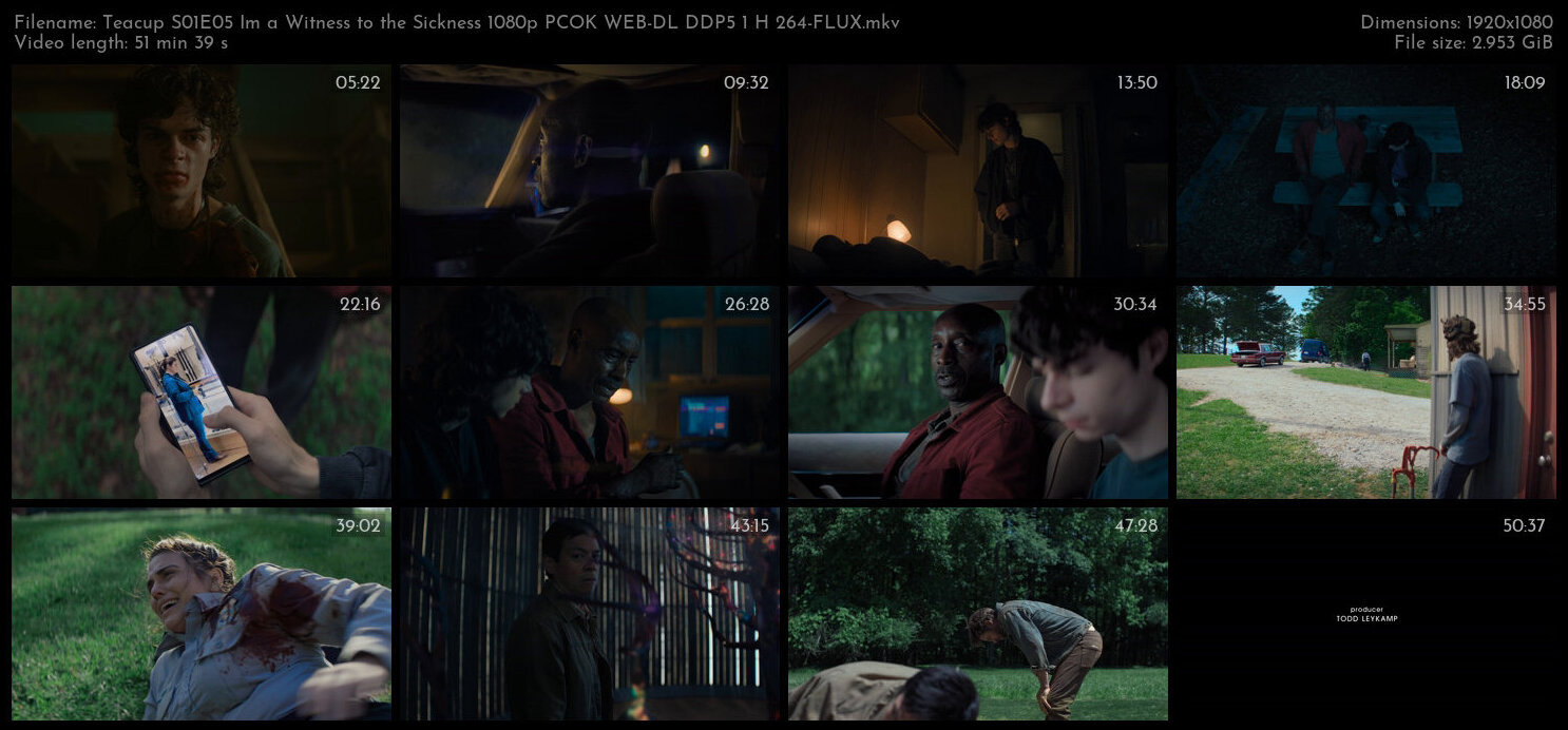 Teacup S01E05 Im a Witness to the Sickness 1080p PCOK WEB DL DDP5 1 H 264 FLUX TGx