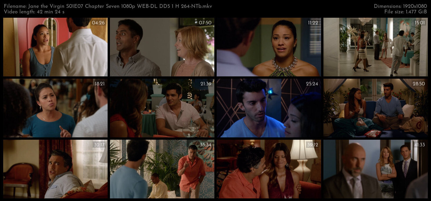 Jane the Virgin S01E07 Chapter Seven 1080p WEB DL DD5 1 H 264 NTb TGx