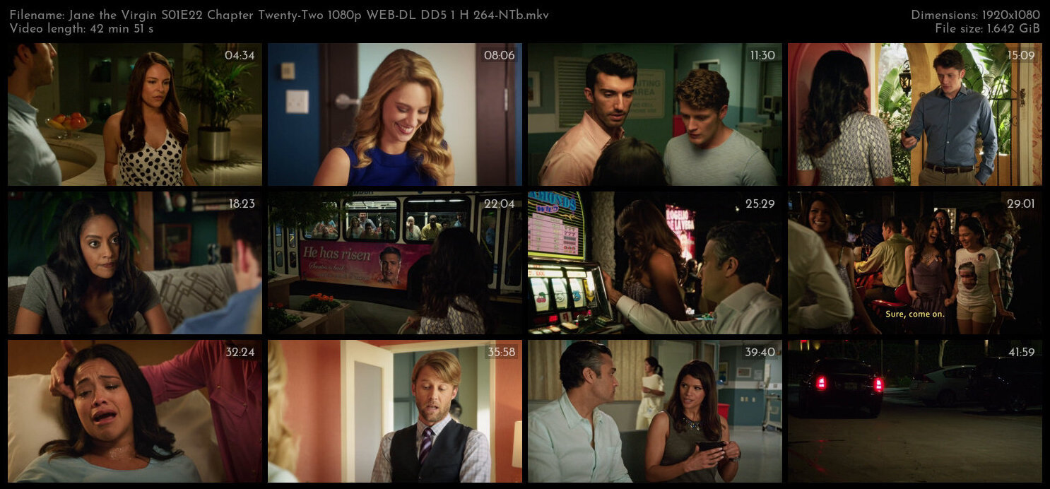 Jane the Virgin S01E22 Chapter Twenty Two 1080p WEB DL DD5 1 H 264 NTb TGx