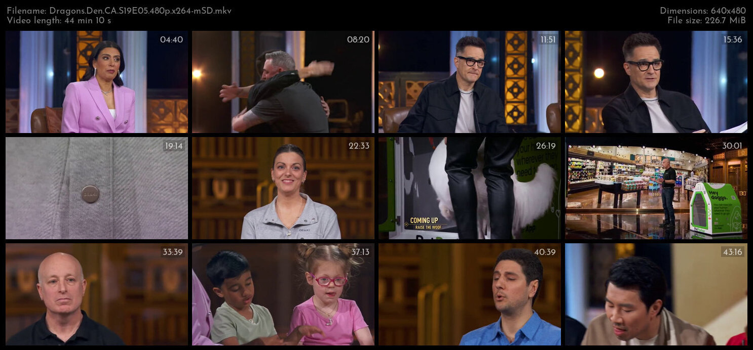 Dragons Den CA S19E05 480p x264 mSD TGx