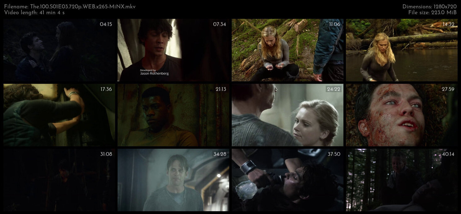 The 100 S01E03 720p WEB x265 MiNX TGx