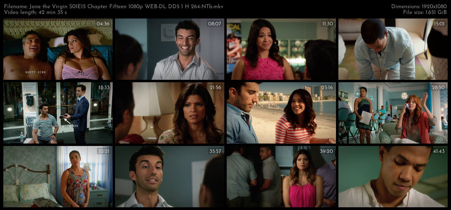 Jane the Virgin S01E15 Chapter Fifteen 1080p WEB DL DD5 1 H 264 NTb TGx