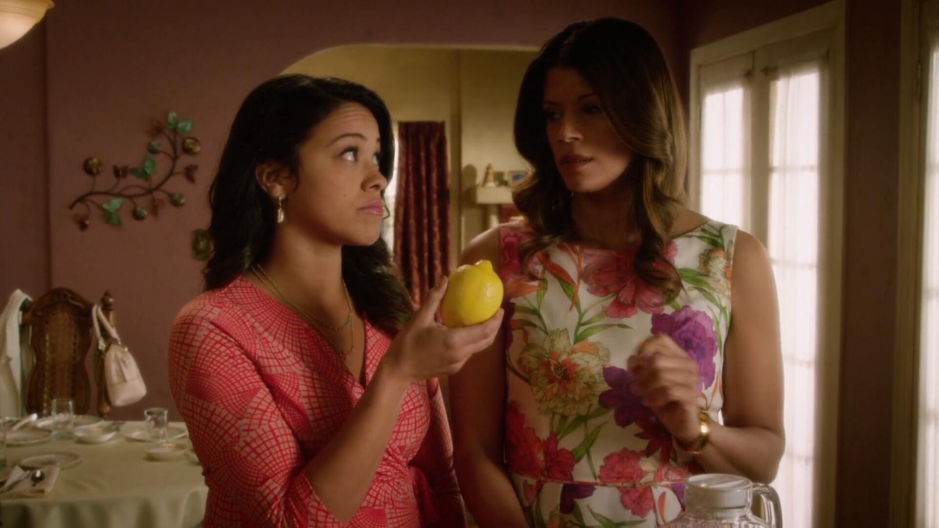 Jane the Virgin S01E18 Chapter Eighteen 1080p WEB DL DD5 1 H 264 NTb TGx