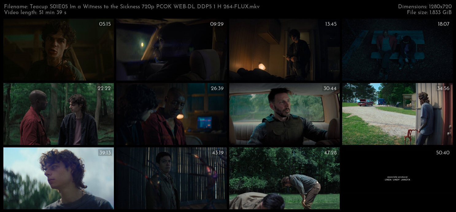 Teacup S01E05 Im a Witness to the Sickness 720p PCOK WEB DL DDP5 1 H 264 FLUX TGx