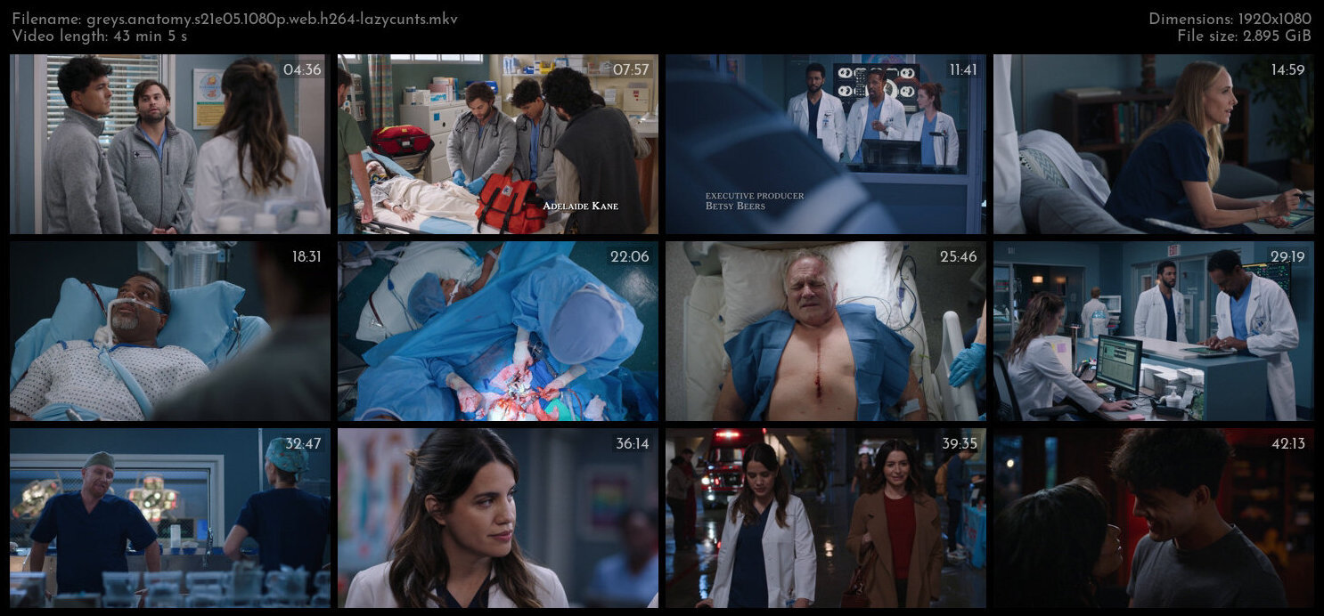 Greys Anatomy S21E05 1080p WEB H264 LAZYCUNTS TGx