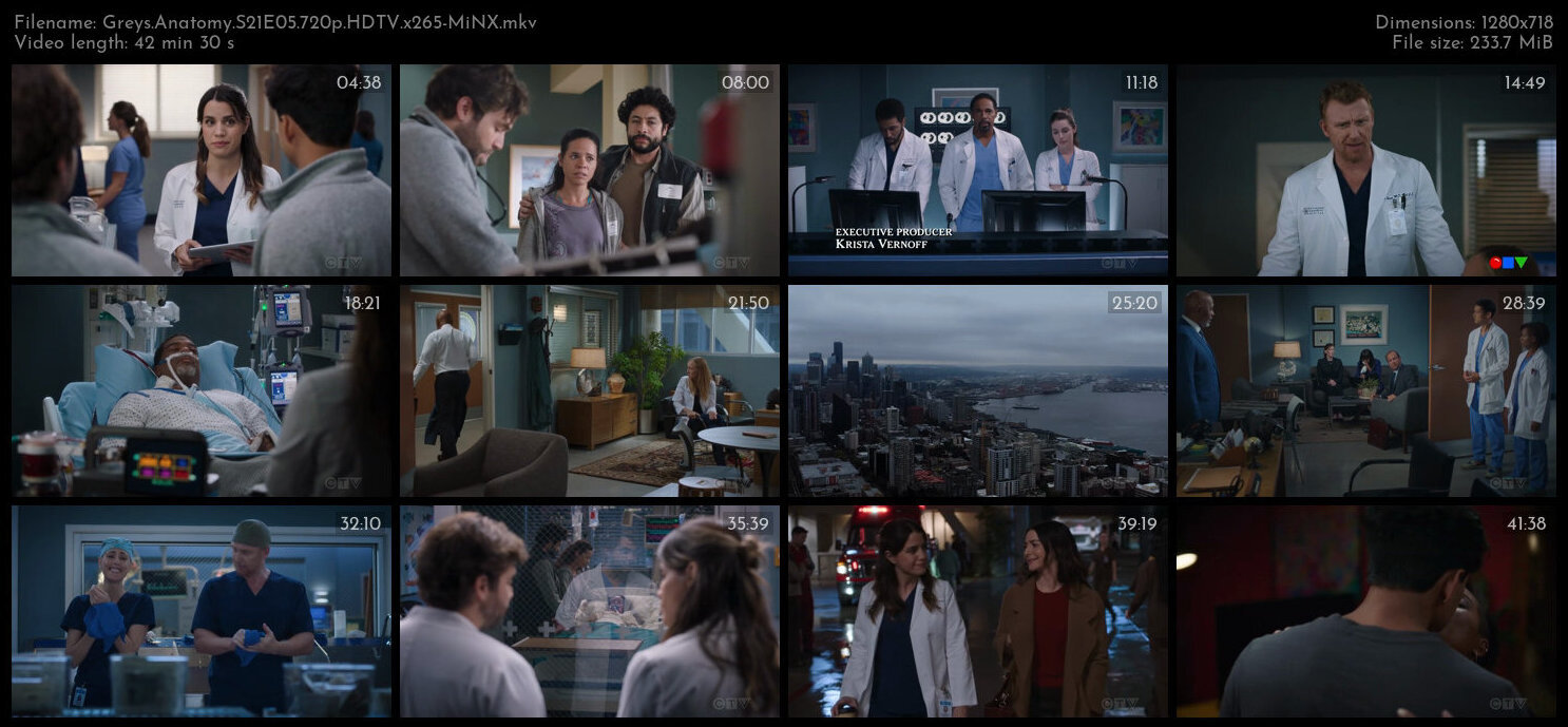 Greys Anatomy S21E05 720p HDTV x265 MiNX TGx