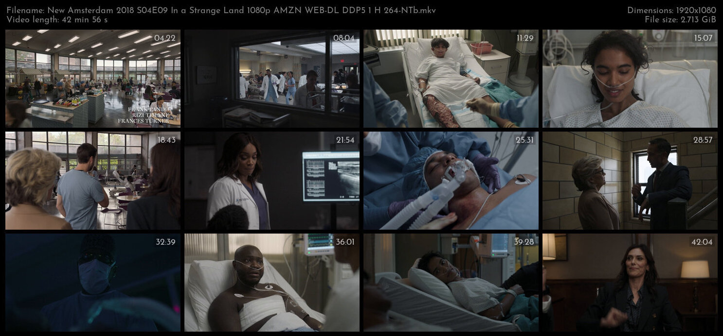 New Amsterdam 2018 S04E09 In a Strange Land 1080p AMZN WEB DL DDP5 1 H 264 NTb TGx