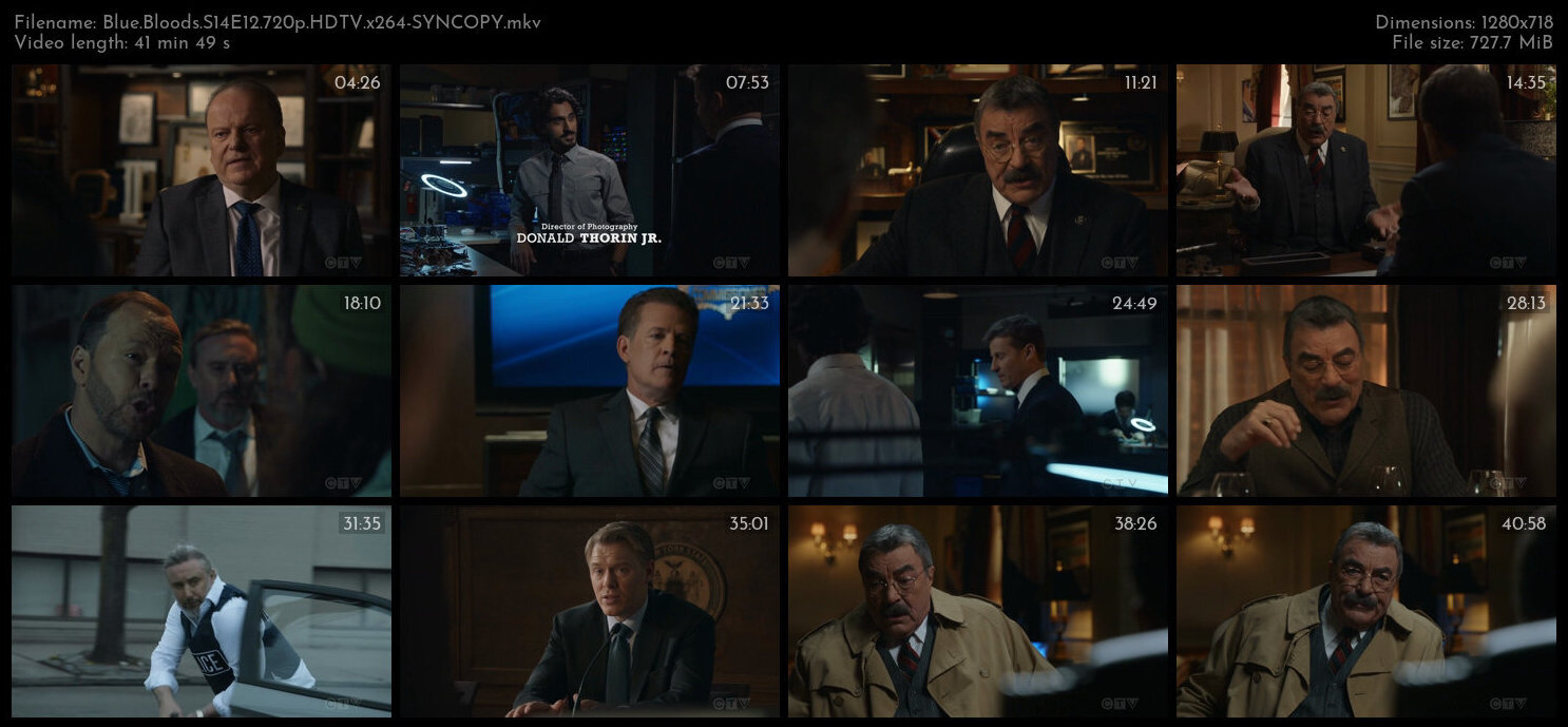 Blue Bloods S14E12 720p HDTV x264 SYNCOPY TGx