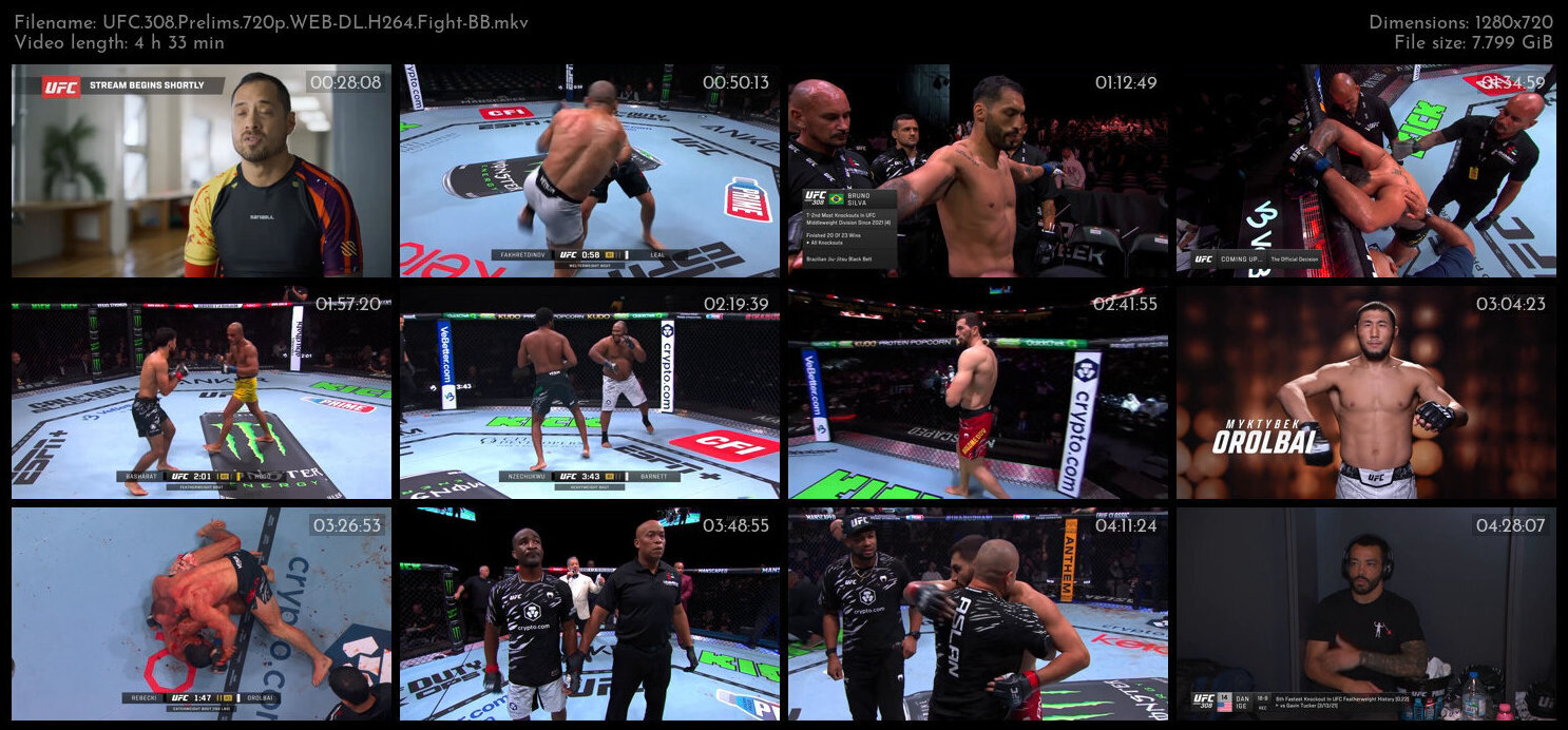 UFC 308 Prelims 720p WEB DL H264 Fight BB